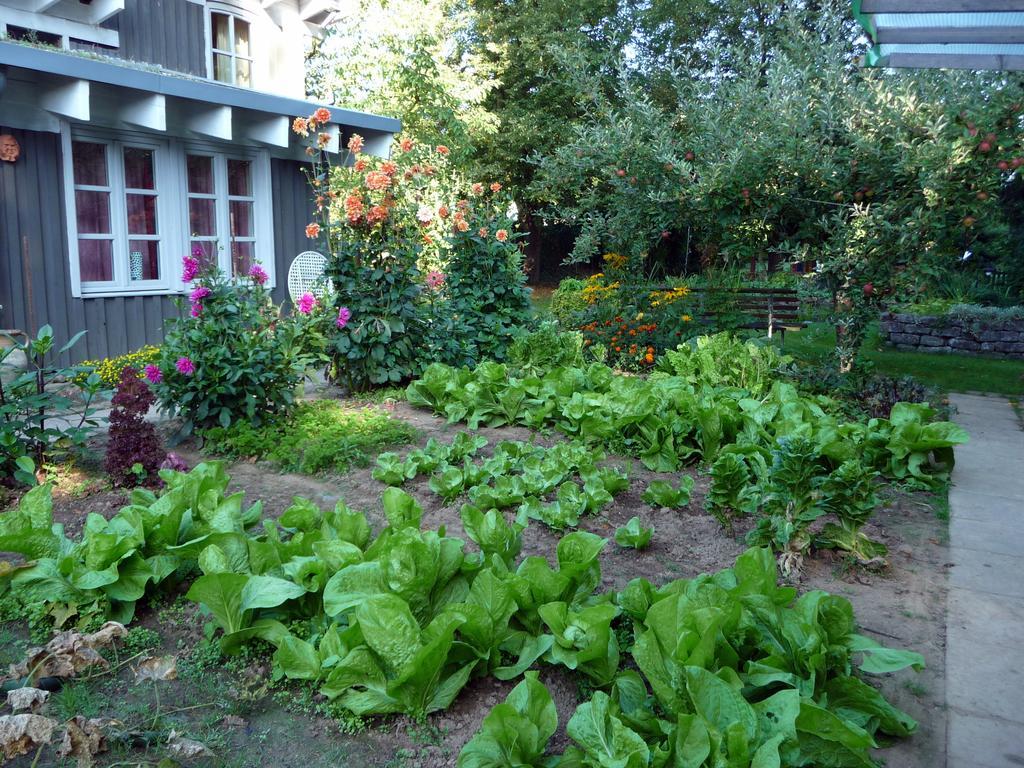 Ferienhaus Gartenlust Dierdorf Phòng bức ảnh